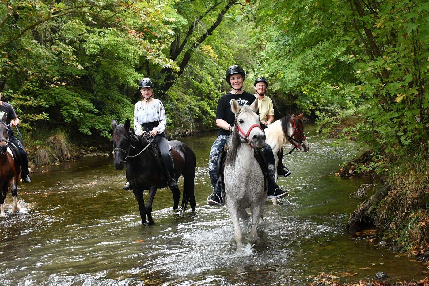Horse Safari
